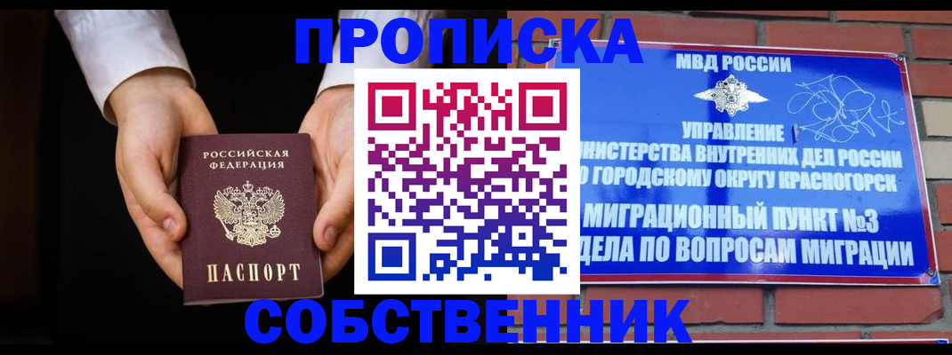 временная регистрация для школы в Щёлково